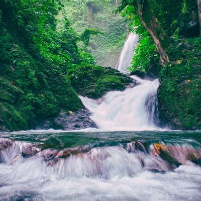 组图：香港花灯璀璨 欢度中秋佳节