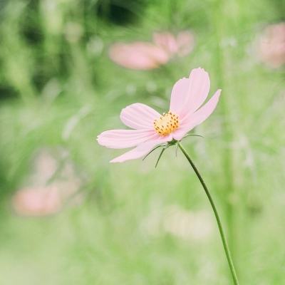 广西工伤预防宣传教育有亮点