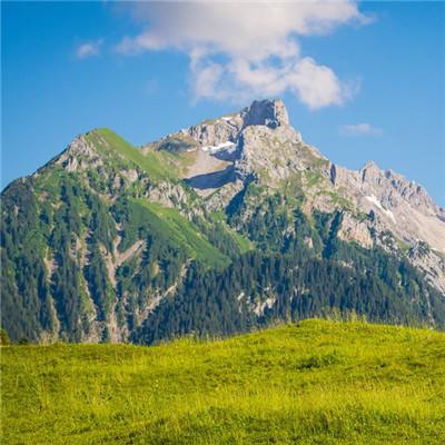 大山大水大森林 好山好水好生态