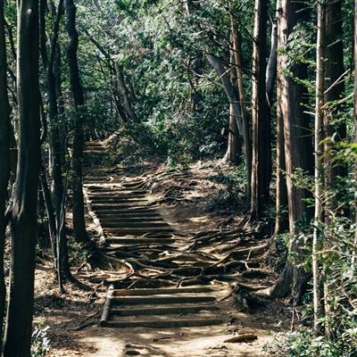 数藏故事丨这幅画不着背景不绘山水，却处处体现春天