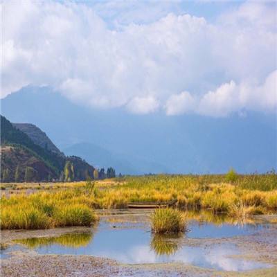 智慧安防|上海兆越为苏州地铁6号线运营保驾...