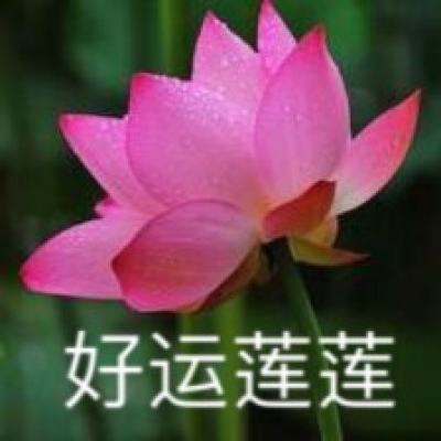 在公园禁止游泳处溺亡谁该担责？（以案说法）