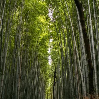 高温持续致重庆用水量激增 多部门联动保障民生用水需求